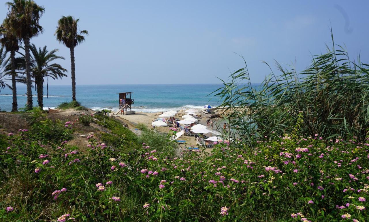 Paphos Gardens, Near Beach Eksteriør billede